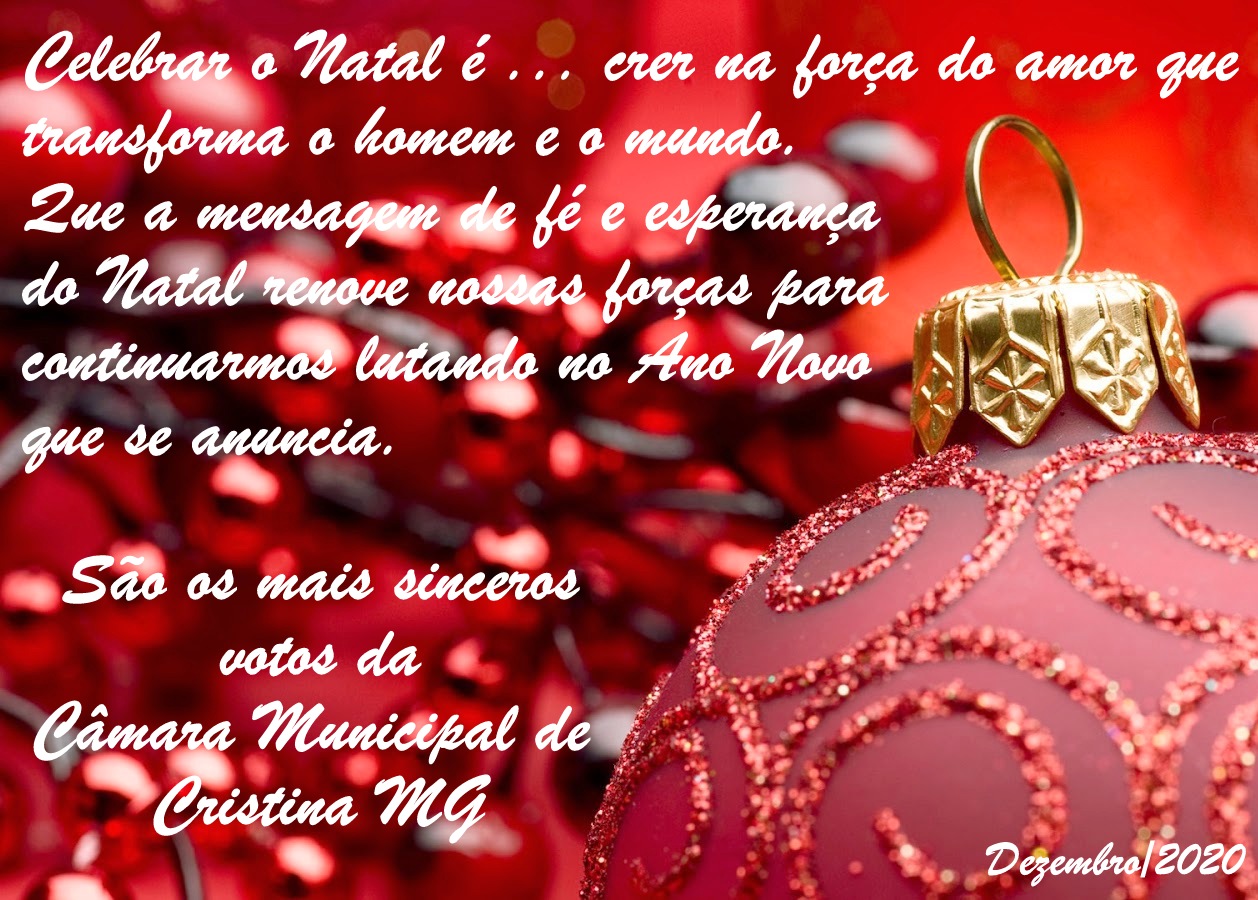 Feliz Natal e Feliz 2021!