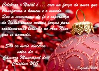 Feliz Natal e Feliz 2021!
